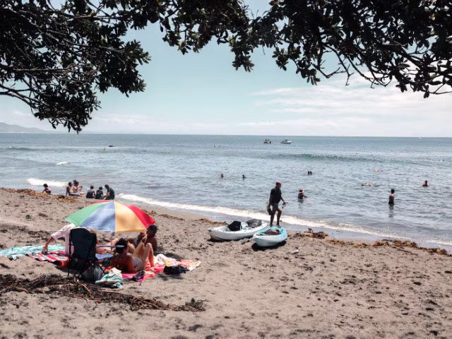 Goat Island Auckland New Zealand Snorkel Beach Marine Reserve Diving Things To Do Travel Blog Kida
