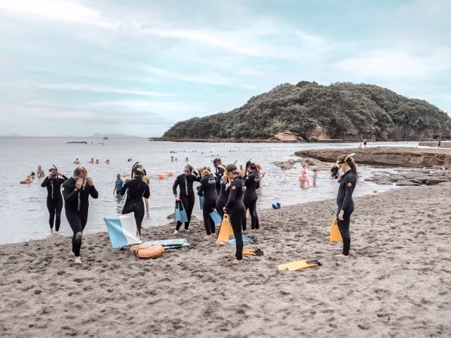 Goat Island Beach New Zealand Things To Do Diving Snorkel Attraction Activity Travel Blog Kida