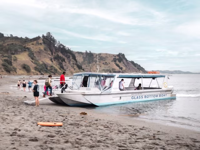 Goat Island Beach New Zealand Things To Do Glass Bottom Boat Snorkel Attraction Activity Travel Blog Kida