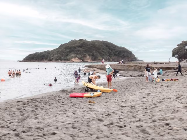 Goat Island Beach New Zealand Things To Do Kayak Snorkel Attraction Activity Travel Blog Kida