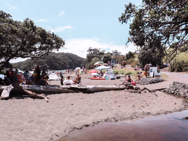 Goat Island Beach New Zealand Things To Do Snorkel Attraction Activity Travel Blog Kida