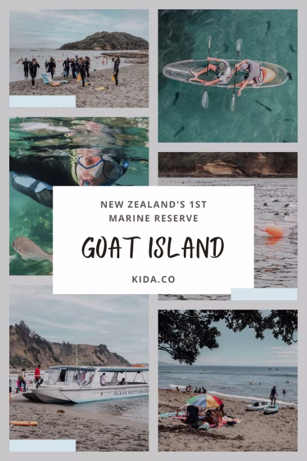 Goat Island Things To Do Marine Reserve Snorkelling Activities Family Travel Guide Kida Featured