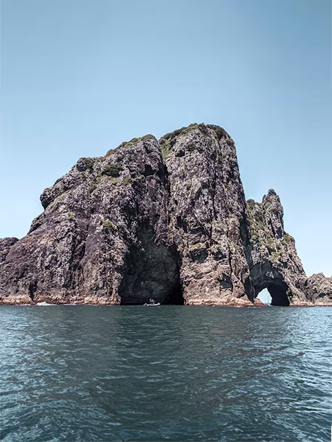 Hole in the Rock Cruise Things To Do in Bay of Islands New Zealand Motu Kokako