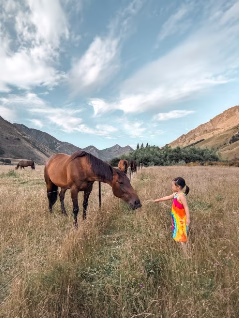 Girl feeding horse at farmstay last minute hotel family holiday home accommodation booking