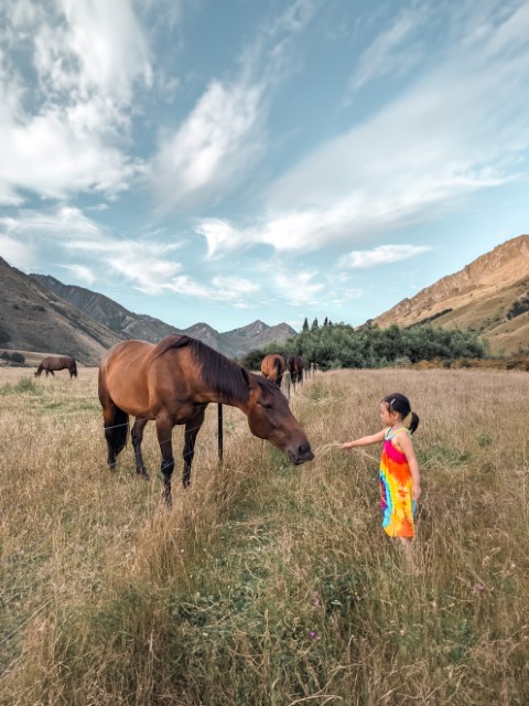 Girl feeding horse at farmstay last minute hotel family holiday home accommodation booking