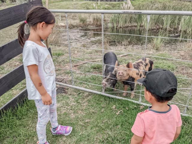 Kids meeting animals at farmstay last minute hotel booking holiday home