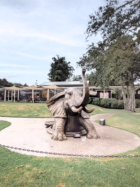 Matakana Country Park Sculptureum Attraction Things To Do Family Road Trip Auckland Travel Blog Kida