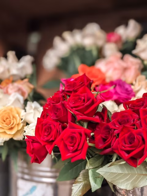 Matakana Farmers Market Artisan Flowers Things To Do Family Road Trip Auckland Travel Blog Kida