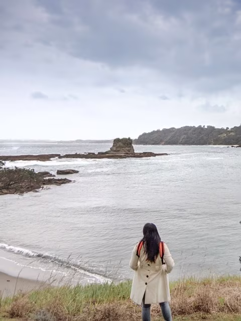 Matheson Bay Goat Island Matakana Leigh Attraction Things To Do Travel Blog Kida
