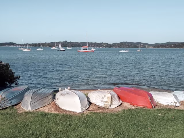 a row of colourful boats by the beach in Bay of Islands