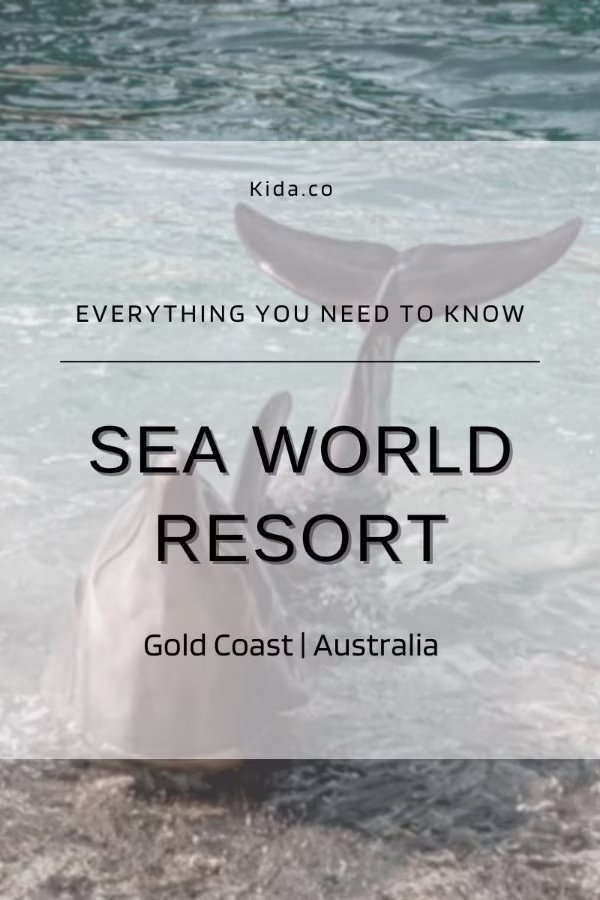 Sea World Resort Review Gold Coast Family Dolphin Guide Theme Parks Australia Travel Blog Kida Featured