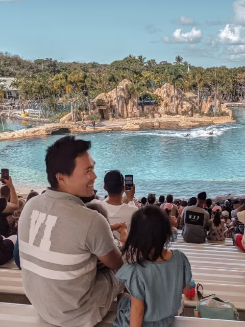 Sea World Resort Review Gold Coast Family Guide Dolphin Show Marine Theme Parks Australia Travel Blog Kida