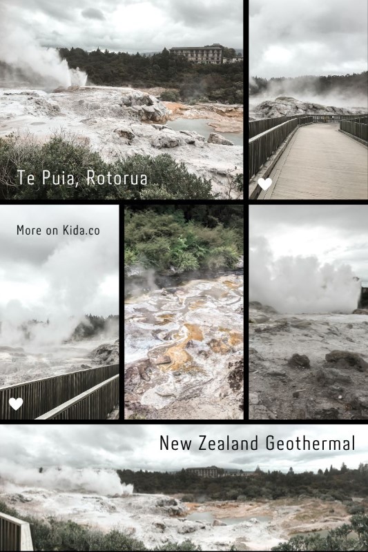 Te Puia Geothermal Valley Rotorua Top Things To Do Family Attraction Must-Dos New Zealand