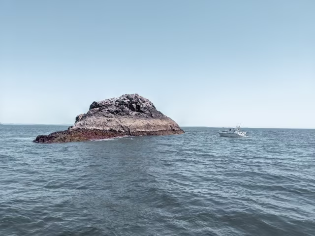 Things To Do in Bay of Islands Hole in the Rock Cruise New Zealand Travel Guide Kida
