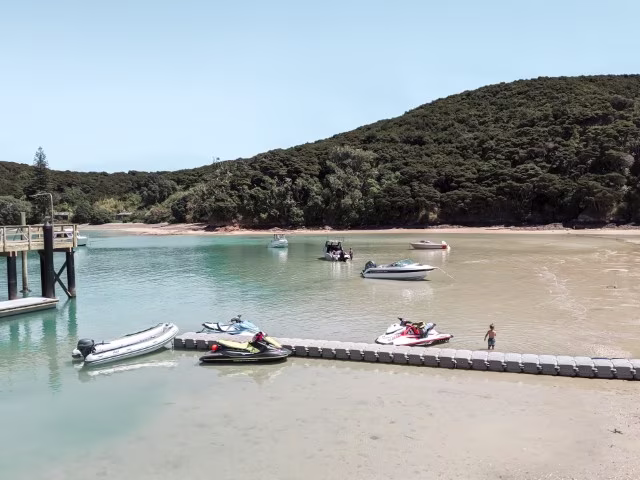 Things To Do in Bay of Islands New Zealand Otehei Bay Urupukapuka Travel Family Kida