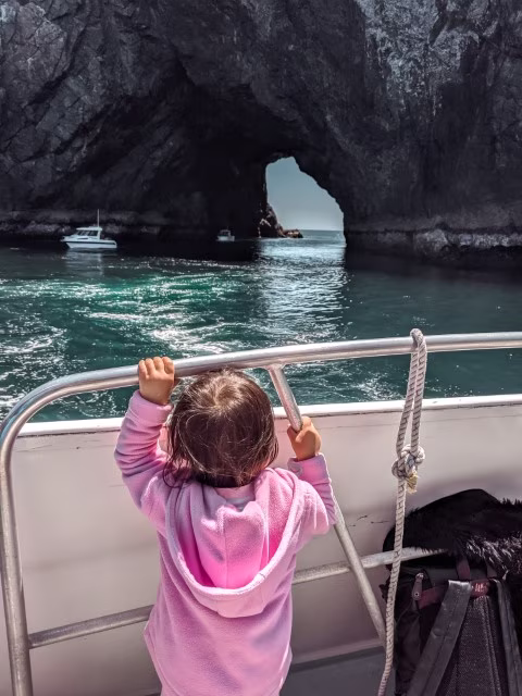 Things To Do in Bay of Islands Paihia Hole in the Rock Cruise New Zealand Travel Guide Kida