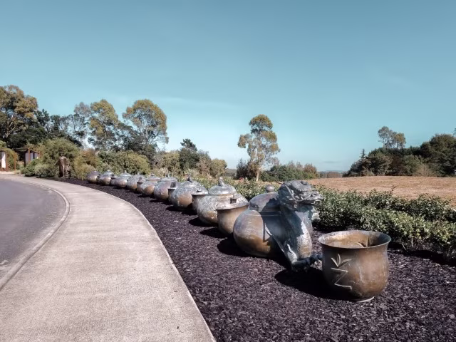 Things To Do in Hamilton NZ Zeelong Tea Estate Waikato Kids Family Travel Blog Kida