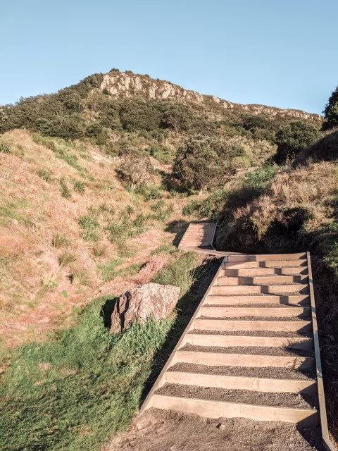Things To Do in Mt Maunganui Mount Summit Track Family Travel Guide Kida