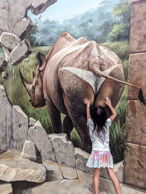 Things To Do in Rotorua 3D Art Gallery New Zealand Travel Activity Kids Blog Kida