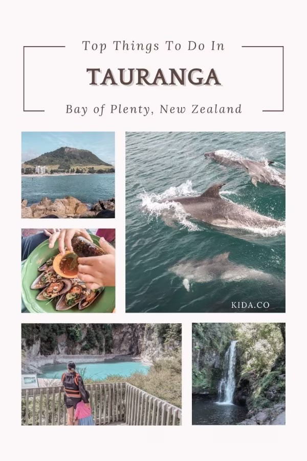 Things To Do in Tauranga New Zealand Family Travel Blog Kida Featured