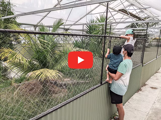 Ti Point Reptile Park Goat Island Matakana Road Trip Auckland Family Travel Blog Kida