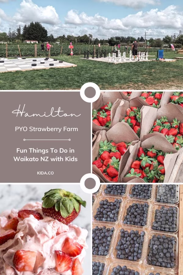 Top Things To Do Hamilton Strawberry Farm Waikato New Zealand Gardens Family Travel Guide Blog Featured