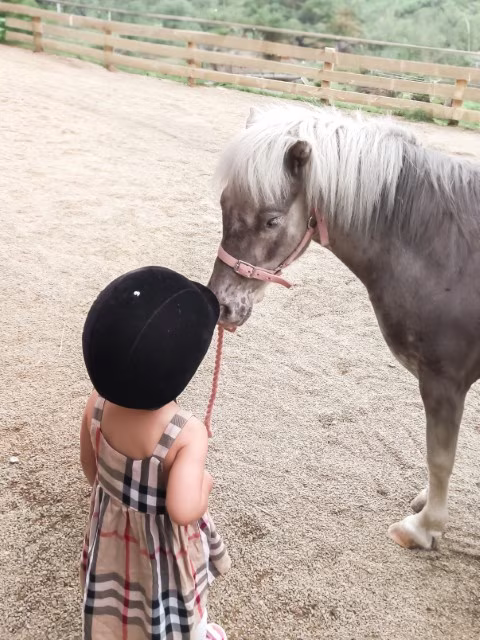 Waitakere Ranges Regional Park Family Friendly Things To Do Kiwi Valley Farm Pony Rides New Zealand Auckland Travel Guide Kida