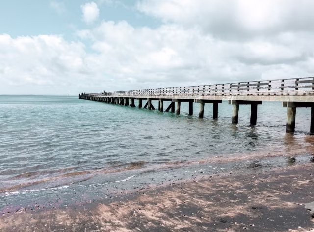 Waitakere Ranges Regional Park New Zealand Cornwallis Wharf Family Travel Guide Kida