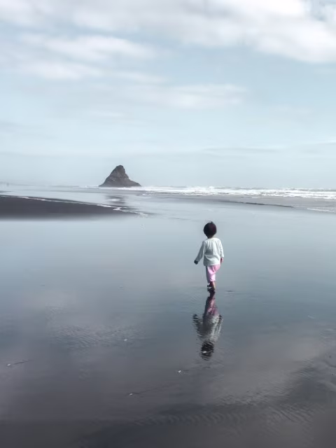 Waitakere Ranges Regional Park New Zealand Karekare Beach Black Sand Travel Blog Kida