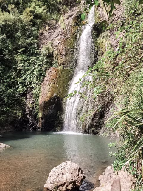 Waitakere Ranges Regional Park New Zealand Kitekite Falls Travel Blog Kida