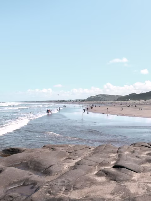 Waitakere Ranges Regional Park New Zealand Muriwai Beach Family Travel Guide Kida