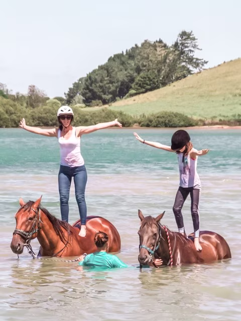 Horse Trekn