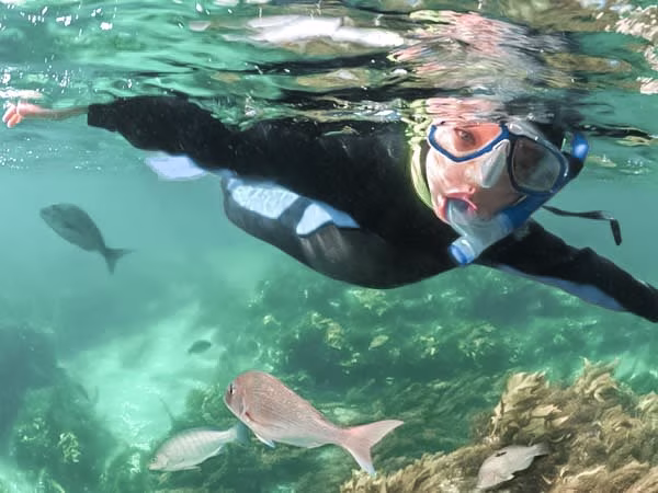 Website Snorkel Gear Hire