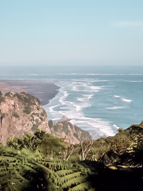 Website Whatipu Scientific Reserve