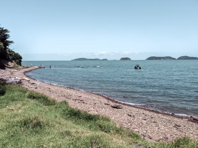 Amodeo Bay Coromandel New Zealand