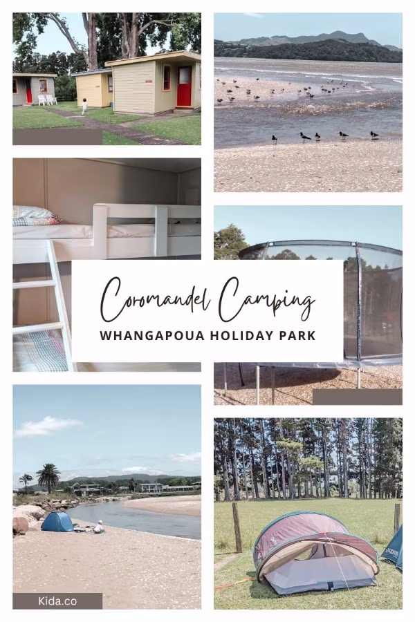 Coromandel Camping Whangapoua Holiday Park New Zealand