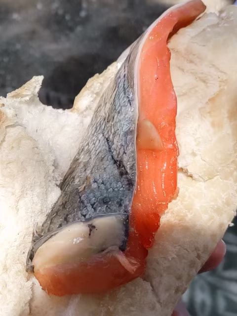 Coromandel Seafood Salmon New Zealand Camping Blog Kida