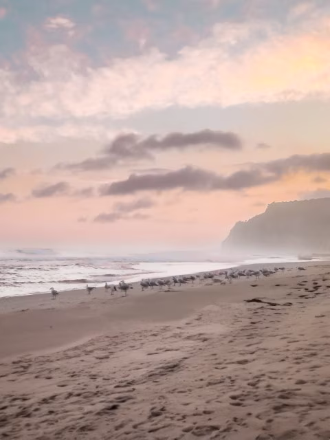 Little Garie Beach Royal National Park Sunset Haze