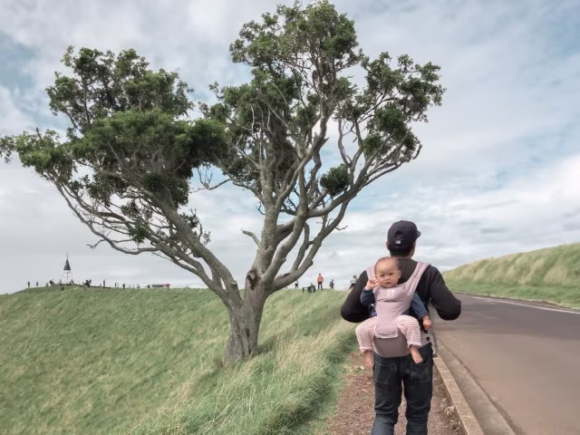 Hiking up to Mt Eden Summit Volcano Crater Walk with a toddler on carrier