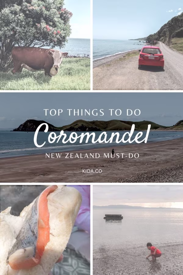 Things To Do in Coromandel Must-Do Attractions Road Trip New Zealand Travel Guide Kida Featured