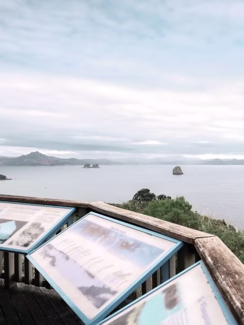 Cathedral Cove Walking Trail Viewing Platform Starting Point
