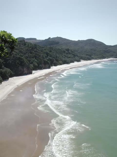 New Chums Beach Coromandel Peninsula New Zealand