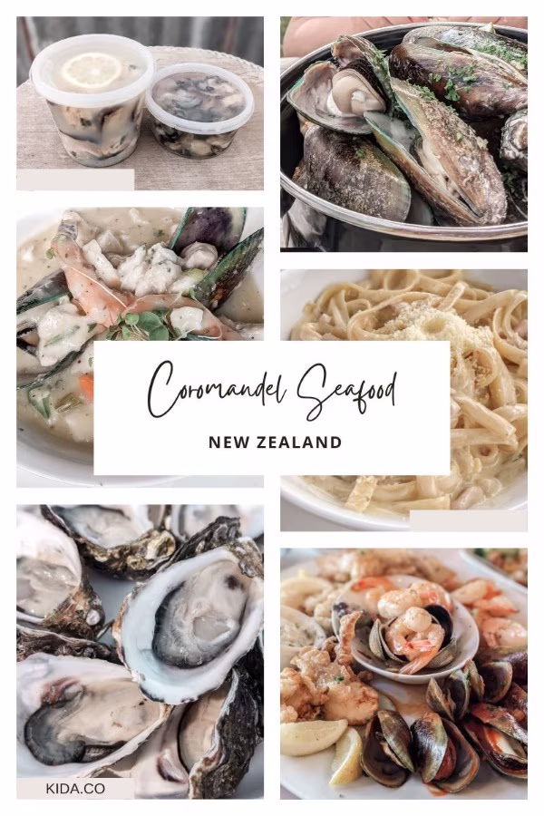 Things To Do in Coromandel Seafood New Zealand Mussels Travel Guide Kida Featured