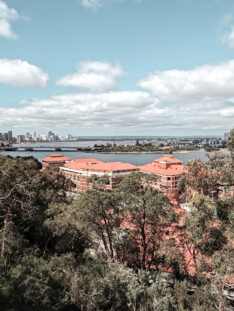 Things-To-Do-in-Perth-Attractions-Kings-Park-Botanic-Garden-Lotterywest-Federation-Walkway-Brewery-View
