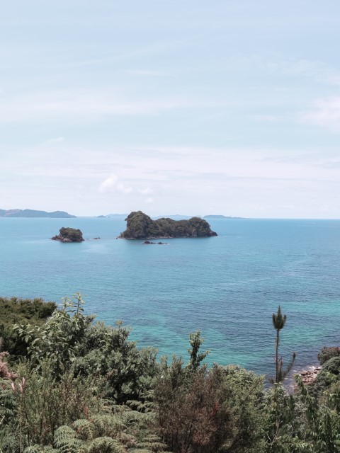 sweeping view of Coromandel peninsula from Cathedral Cove walking track