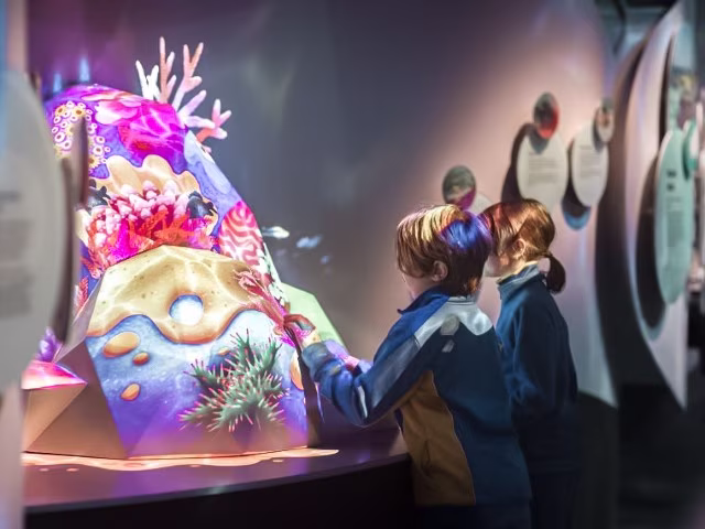 Perth Things To Do Kids WA Museum Boola Bardip