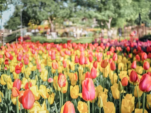 Road Trips from Perth Australia Araluen Botanic Park Travel Blog Kida