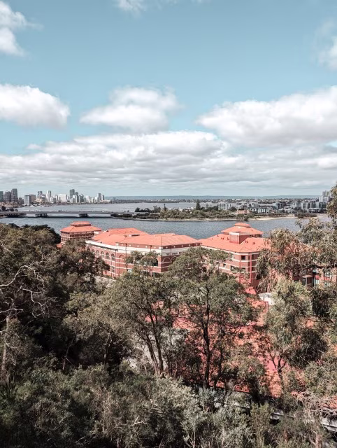 Things To Do in Perth Attractions Kings Park Botanic Garden Lotterywest Federation Walkway Brewery View Travel Blog Kida