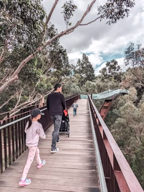 Things To Do in Perth Attractions Kings Park Botanic Garden Lotterywest Federation Walkway Travel Blog Kida