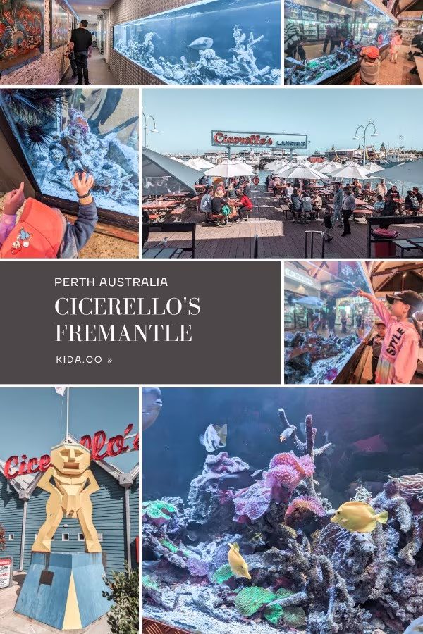 Things To Do in Perth Cicerello's Fremantle Australia Kids